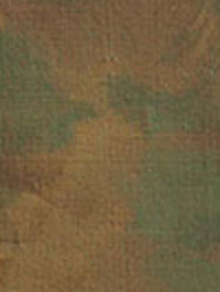 Oil on canvas, David Rogers, 1842. (Courtesy Community of Christ Library-Archives, Independence, MO.)