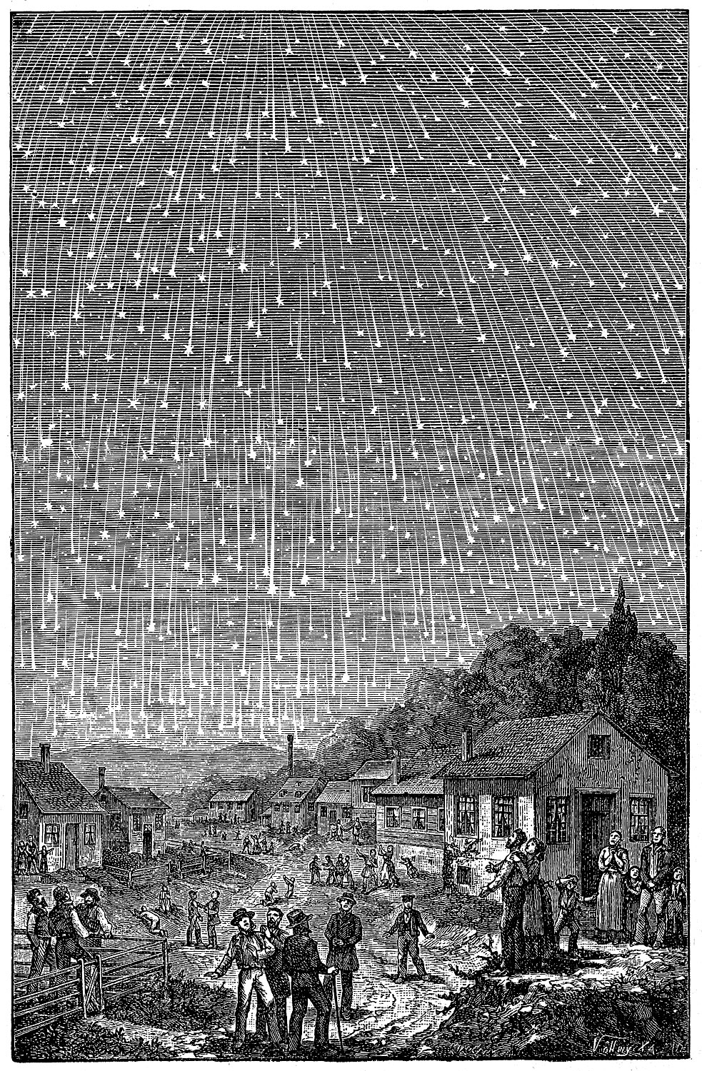 Leonid Meteor Shower