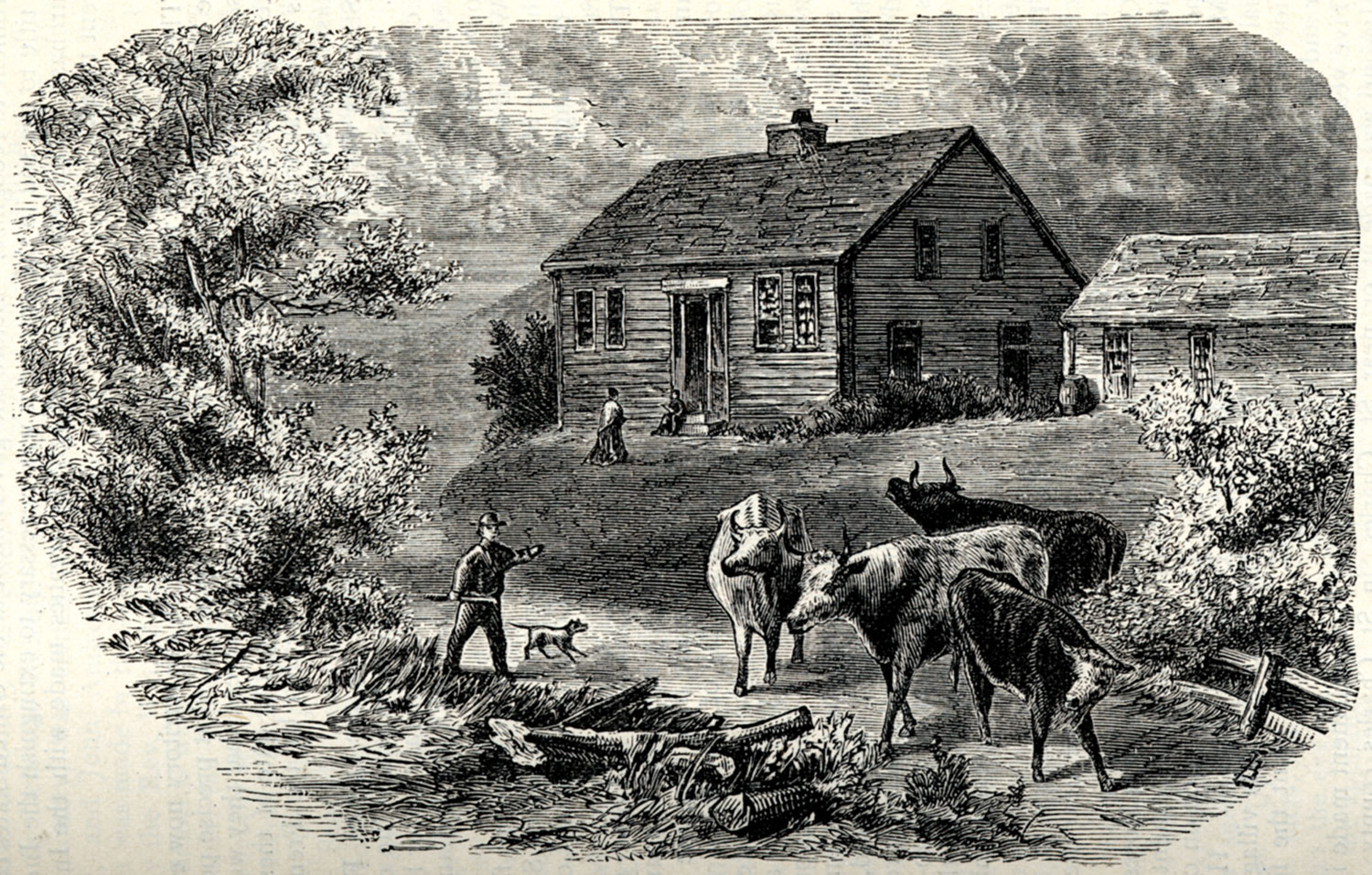 Jackson County Missouri Place